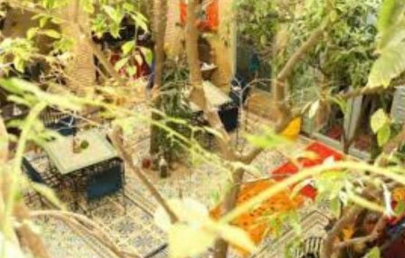 Riad Les Jardins De Kesali Марракеш Екстер'єр фото